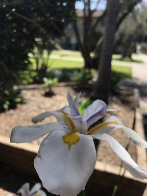 Park Village Apartments