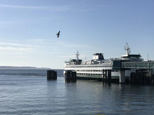 View from our Office