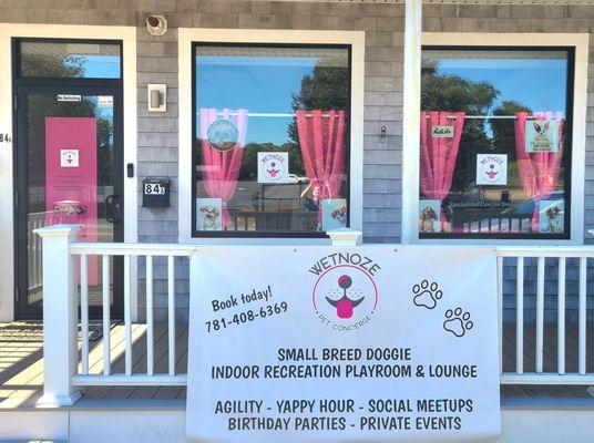 Small breed dog daycare, overnight care and playgroups!