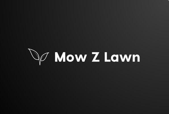 Mow Z Lawn Maintenance