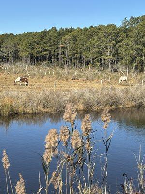 Tom's Cove Visitors Center
