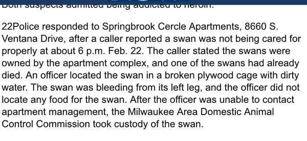 Springbrook Circle Apts