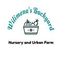 Wilimena’s Backyard