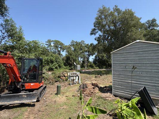 Forest Land Clearing and Tree Removal