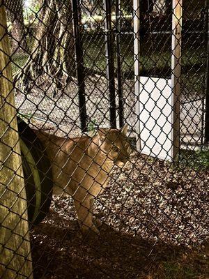 Panther Ridge Conservation Center