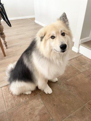 Looking fresh and beautiful!