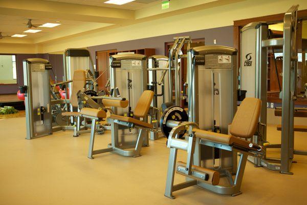 J Leonard Levy Family Wellness Center