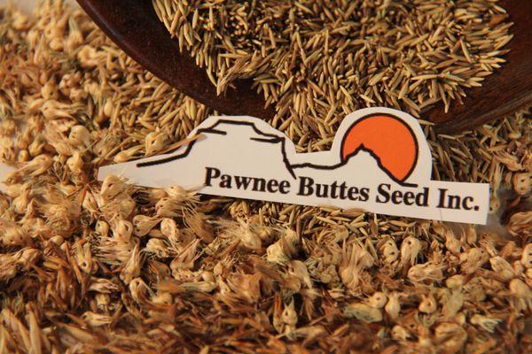 Pawnee Buttes Seed