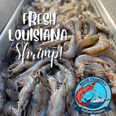 David Chauvin's Seafood