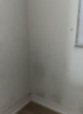 Cal Western Property Management