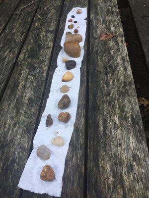 Five Elements Healing Center