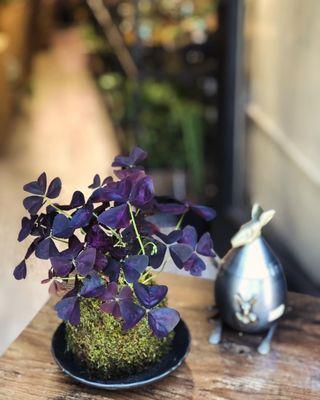 Utsuwa Botanical Design