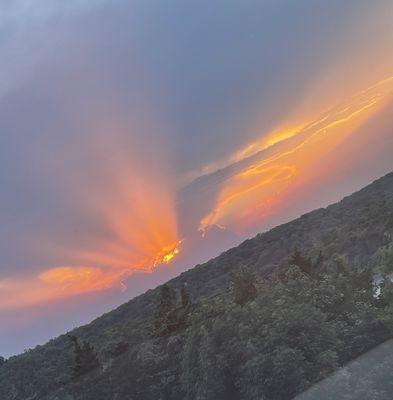 DelightfulLiving Home Health