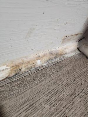 Cambridge Apartments