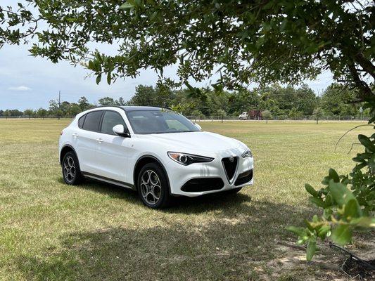 Northside Imports Houston