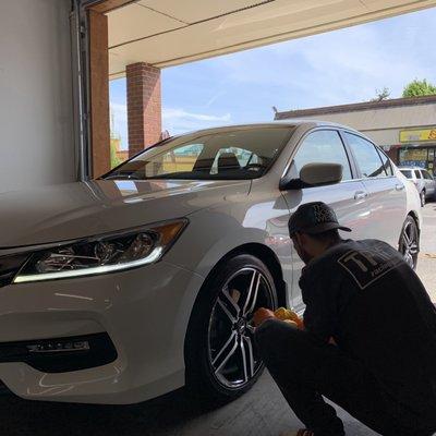 Quality Details Of Auburn