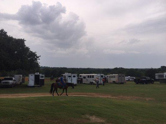 Johnson Performance Horses