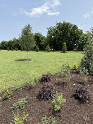 Sol Landscape & Services