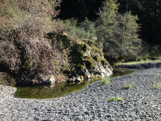 Frank and Bess Smithe Grove Park