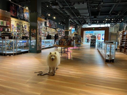 Spacious and museum like display!