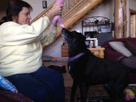 Camarillo Holistic Health and Weight Loss