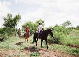 Summer Campers enjoying a relaxing trail.