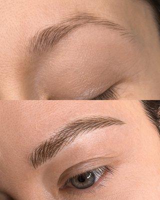 Eyebrow Hair Replication / Nano Brows