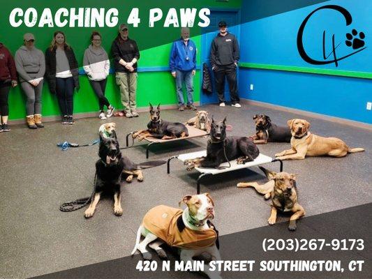 our board and train clients with their dogs!
if your dog learns manners they can ENJOY LIFE with other dogs and people!