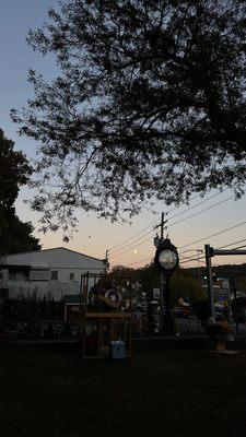 Main Street Fruit Tree Trail