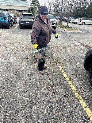 JD's Wildlife Services