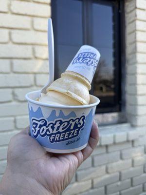Fosters Freeze