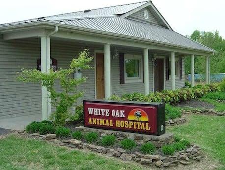 White Oak Animal Hospital