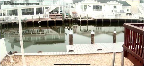 Rostien Lee & Son Marine Construction