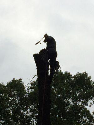 A-1 Nantz & Sons Tree Service