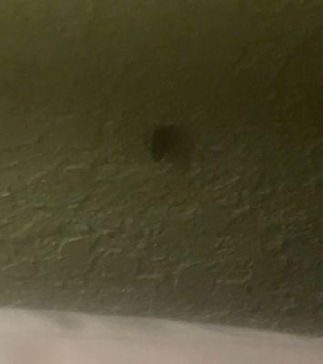 Orange Village Hostel