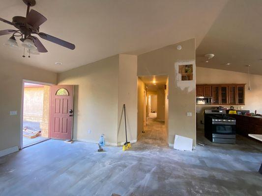 Francisco and Victor Handyman