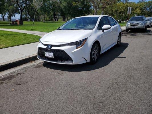 Schroeder's Car Rentals