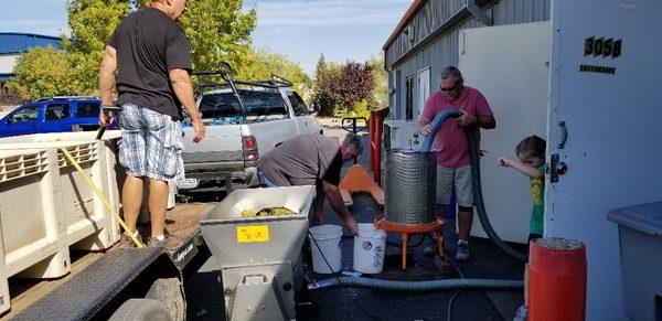 Processing, after harvesting!