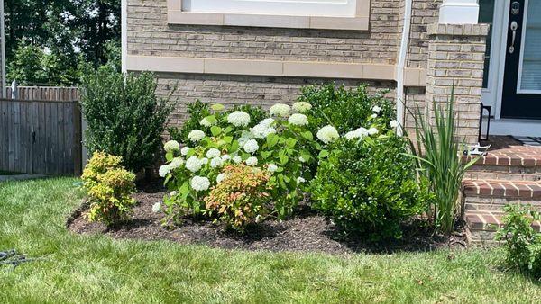 Lionheart Landscaping