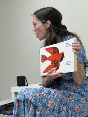 Playgrounds of Tampa