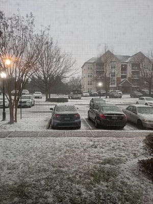 Darling cleaning service