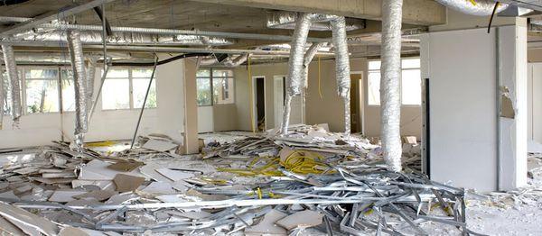 Glover Environmental - Mold Specialist