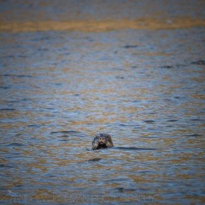 Refuge Cove State Recreation Site