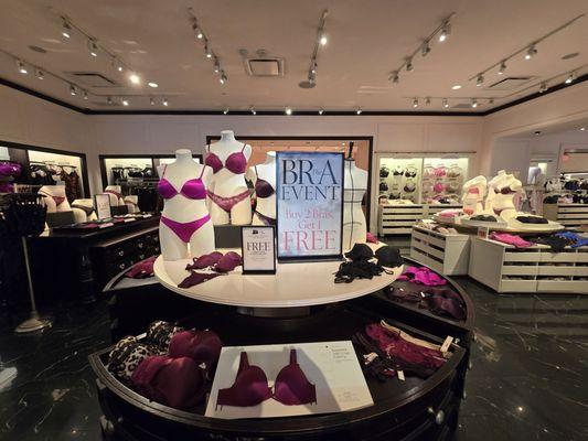 Victoria's Secret & PINK