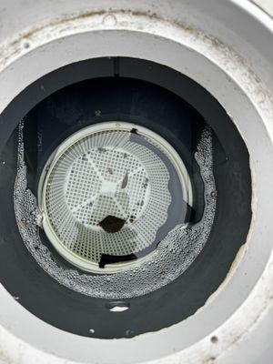 Flores Pool and Spa Care