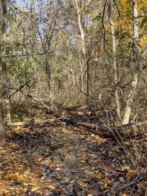 Parker Mill County Park
