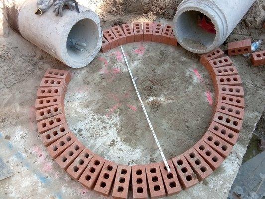 Hollins Homes and Gardening