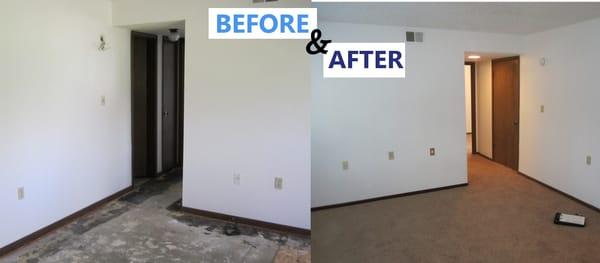 Dream Steam Cleaning and Restoration