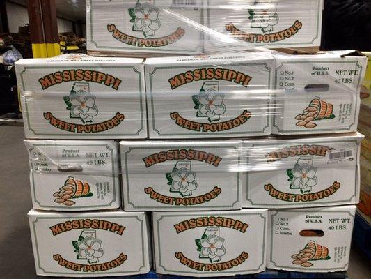 Gulf Coast Produce Distributors