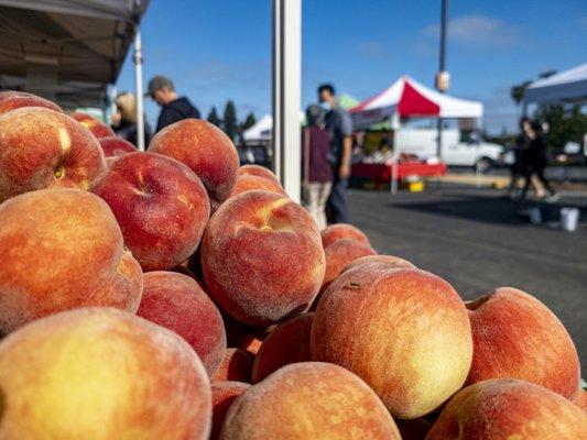 Fresh stone fruit from Castellanos Farms